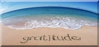 Happiness Starts With Gratitude