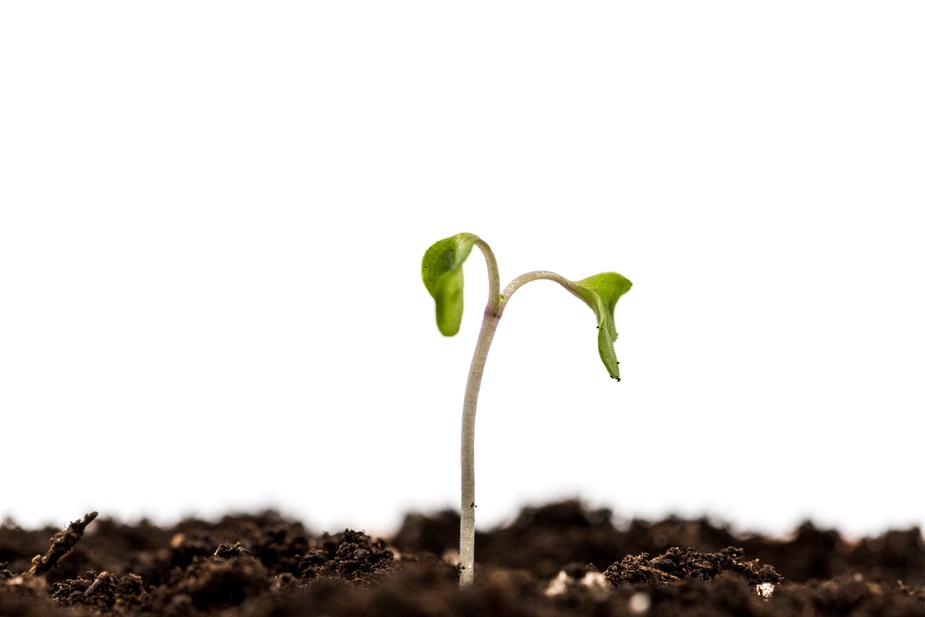 THE 15 INVALUABLE LAWS OF GROWTH