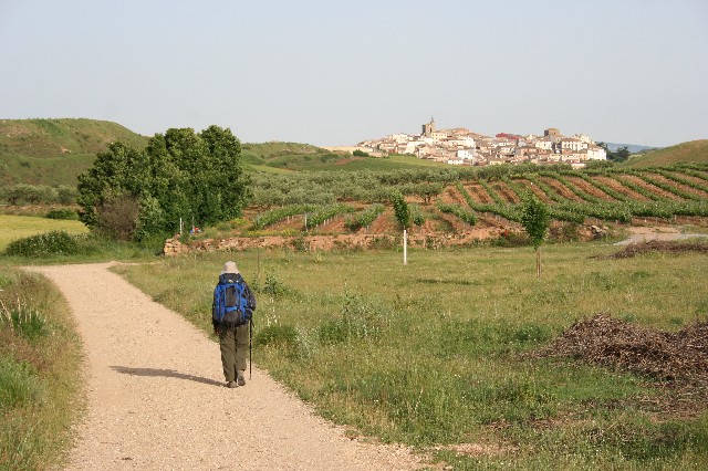 The Camino de Santiago-A Journey of Rediscovery