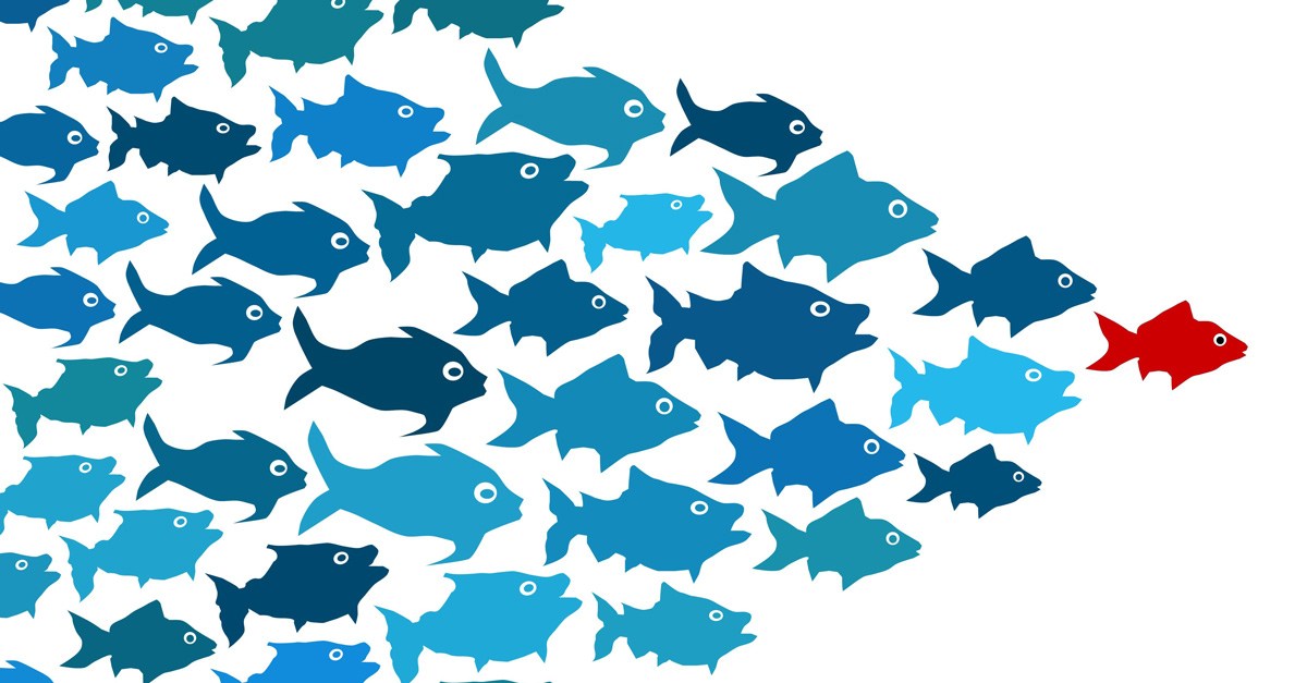 Key-Note: How to Sharpen your Brand in 6 Steps
